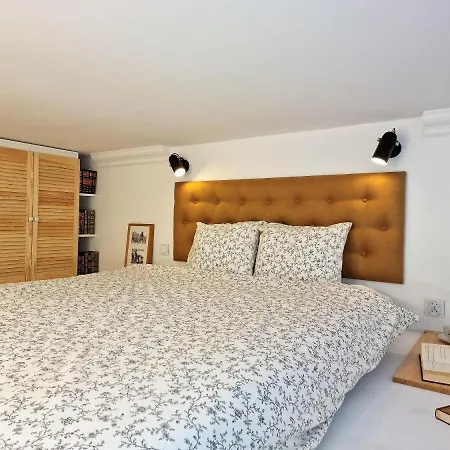 Centro Downtown Premium Apartament *